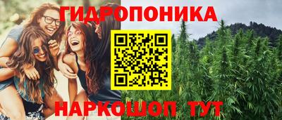 прущие крисы Краснознаменск