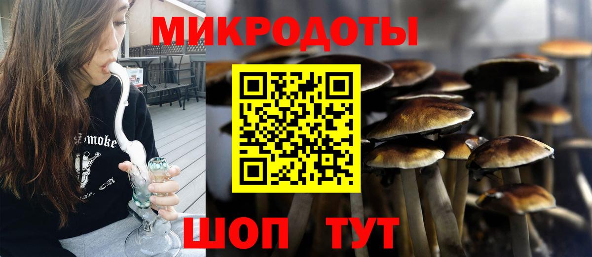 Псилоцибиновые грибы GOLDEN TEACHER Коряжма